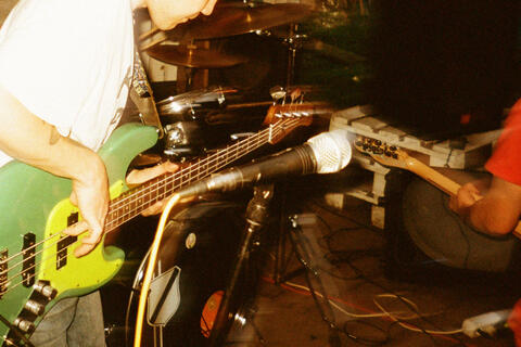 Crowd at a live performance